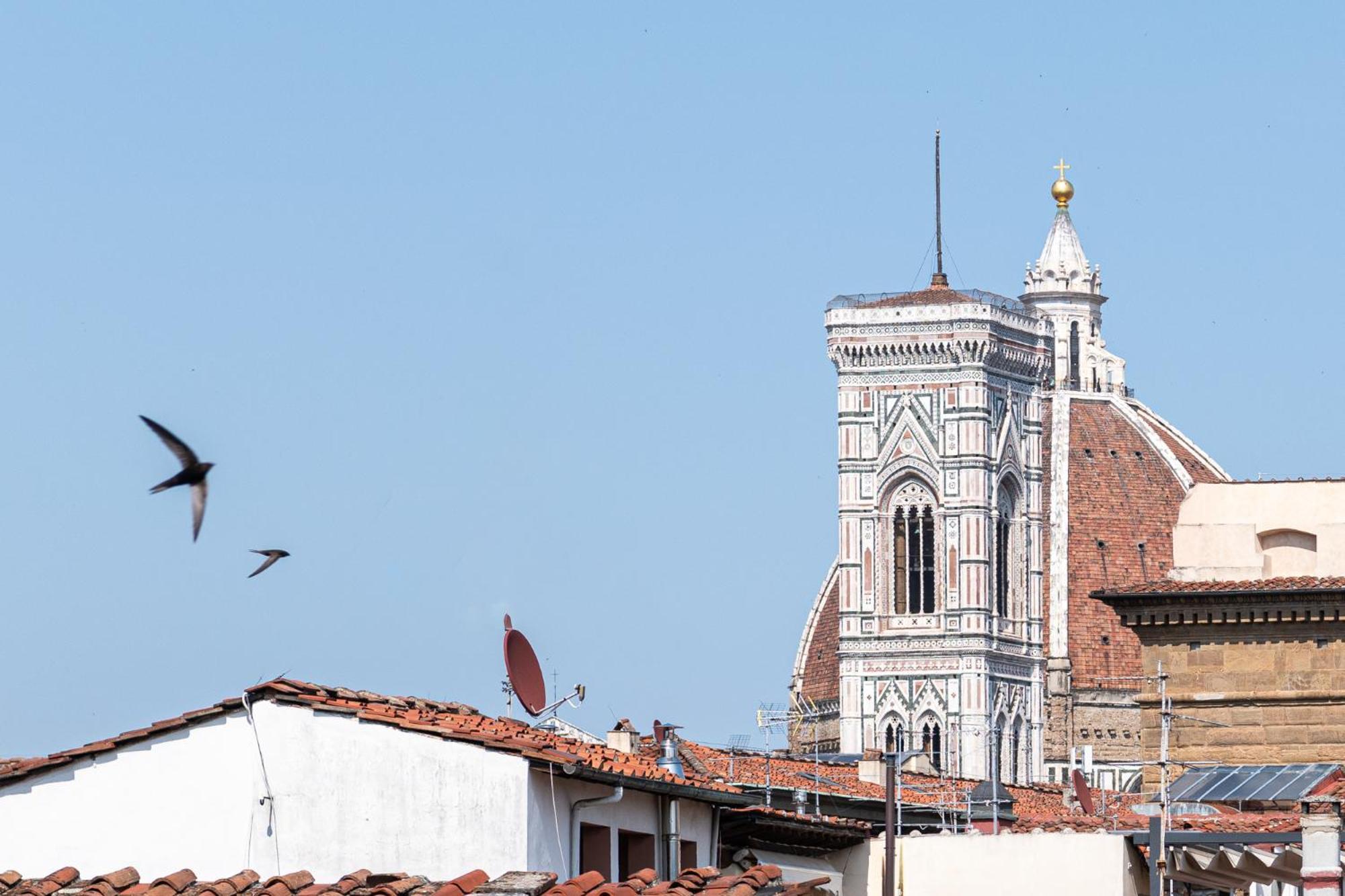 Parione Loft In Town Center Apartment Florence Ngoại thất bức ảnh